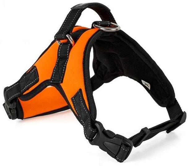 All-In-One™ No Pull Dog Harness - SlickDecor.com