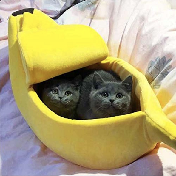 Banana Cave Pets Bed - SlickDecor.com