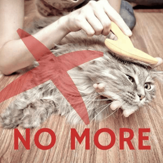 Deshedding Glove - SlickDecor.com