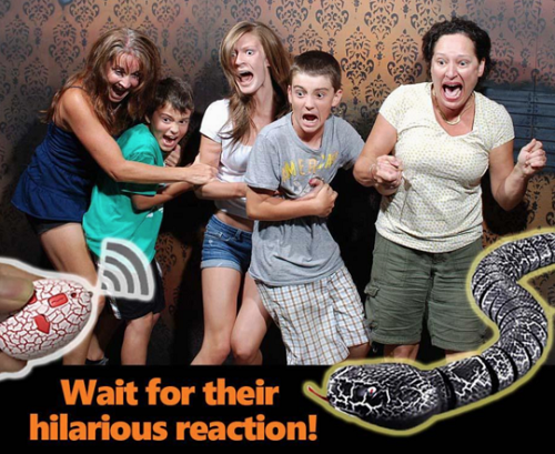 Remote Control Toy Snake