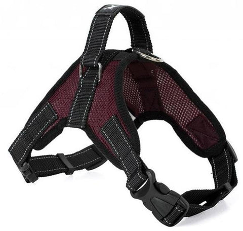 Image of All-In-One™ No Pull Dog Harness - SlickDecor.com