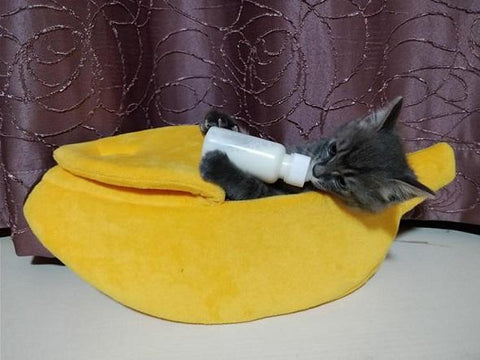 Image of Banana Cave Pets Bed - SlickDecor.com