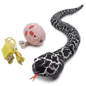 Remote Control Toy Snake