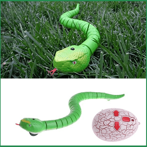 Image of Remote Control Toy Snake