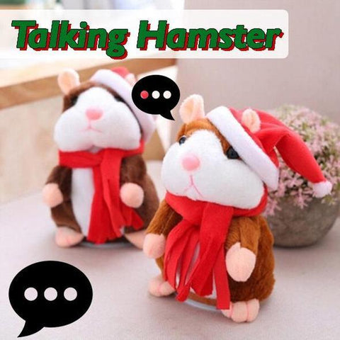 Image of Talking Hamster